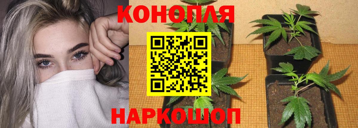 Марихуана семена Котельники